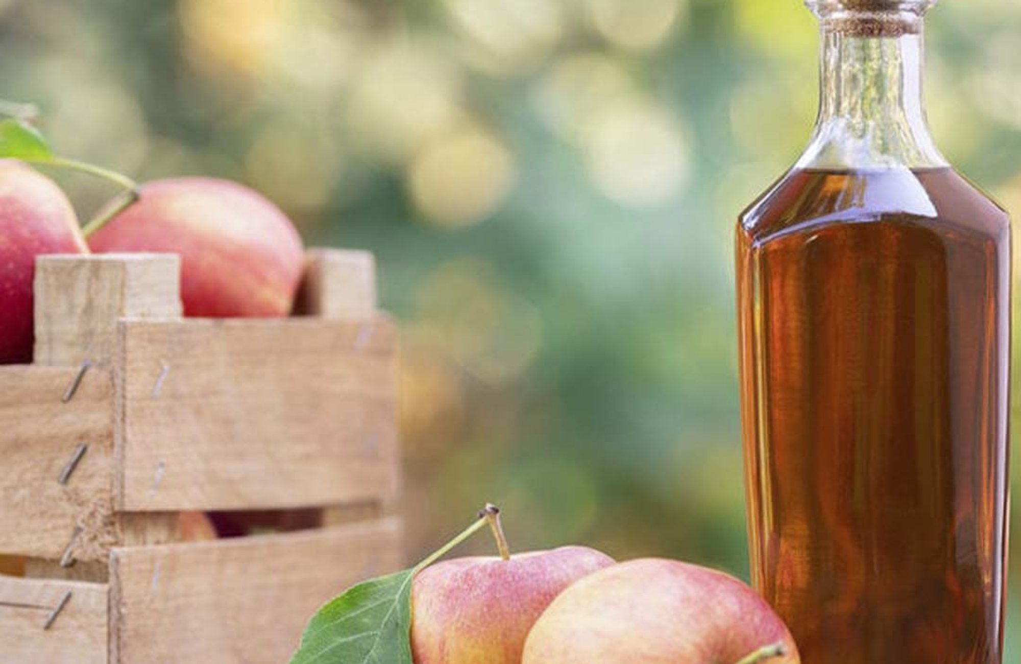 vinagre de manzana sin filtrar ni pasteurizar Merrysab